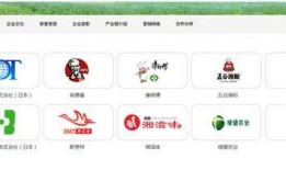 插旗菜业爆料新闻视频,揭秘新闻视频背后的真相