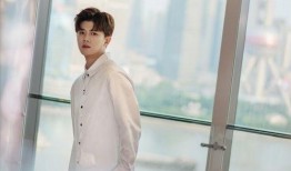 任嘉伦爆料大王视频,独家爆料背后的精彩瞬间