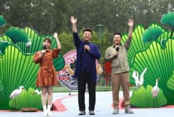 比亚迪李明爆料视频最新,揭秘新能源汽车行业重大突破与未来趋势