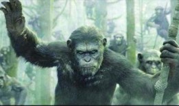 猩球崛起2在线观看,黎明之战——猿族崛起，人类危机四伏