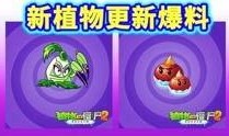 最新 植物爆料视频