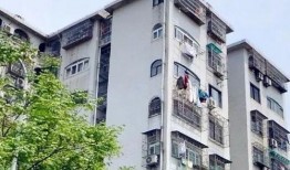 宁波爆料小区视频大全集,揭秘社区生活百态