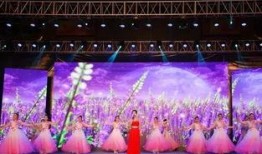 丰都体育馆爆料视频,现场实况令人震惊