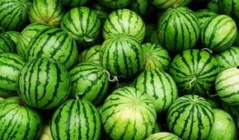 青海网红吃瓜事件真相,揭秘背后真相与反思