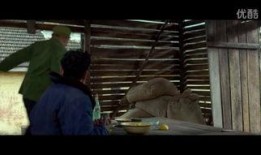 飘雪电影在线观看,浪漫飘雪，情感共鸣