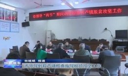 莆田仙游新闻爆料,揭秘神秘事件背后的真相