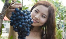 网红吃葡萄瓜是真的吗视频,真相揭秘，是噱头还是美味新宠？