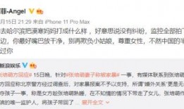 东北闺蜜爆料视频播放网站,热门内容与观看指南