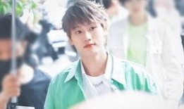 小樱花爆料新歌视频,樱花盛开，青春旋律即将绽放