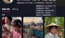 兴宁抖音爆料事件最新,真相揭晓，网络舆论下的舆情反转