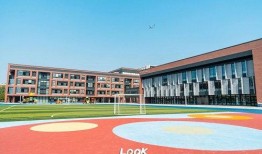 朝阳区凯文学校最新爆料,最新爆料揭示校园风采与教育理念”