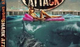 鲨鱼侵袭在线观看,鲨鱼侵袭在线观看，揭秘海洋恐怖之夜