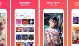 今日头条张姐爆料视频,今日热点事件深度解析