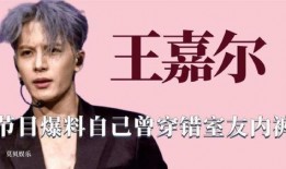 圈内人爆料王嘉尔,揭秘明星背后的真实故事
