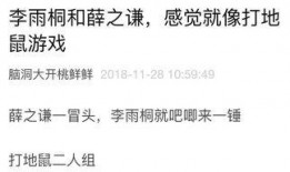 摸鱼吃瓜日记免费阅读,免费阅读背后的故事