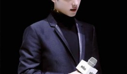 肖战最新资讯爆料,神秘项目引热议，粉丝期待不已