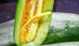 广西南宁吃瓜网红是谁,揭秘广西南宁吃瓜一哥的传奇人生”