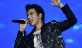 娱乐圈吃瓜男歌手名单,揭秘那些被隐藏的八卦故事