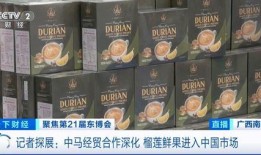 榴莲月饼爆料视频下载免费,揭秘免费下载爆火视频背后的美味诱惑