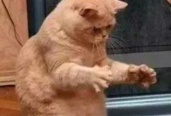 爆料新闻搞笑段子