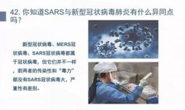 新冠状病毒最新爆料,揭秘病毒变异与传播机制