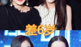 爆料娱乐圈热巴事件真相,热巴事件背后真相曝光