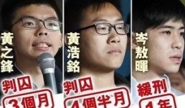 仙洋入狱新闻爆料视频,揭秘背后真相与网络舆论影响