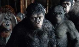 猩球崛起2在线观看,黎明之战——猿族崛起，人类危机四伏