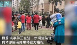 重庆小区最近爆料视频,揭秘社区生活新动态