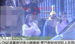 海德夫妇爆料视频,真实事件背后的惊人内幕