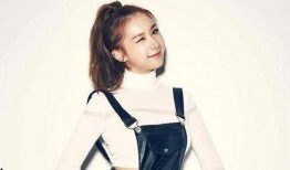 韩国少女时代娱乐圈爆料,娱乐圈背后的真实故事