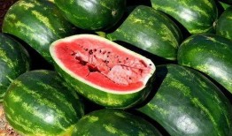 免费吃瓜地址,畅享美食盛宴！