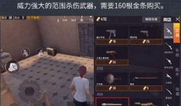 黄金岛爆料最新视频,揭秘神秘宝藏与未知的冒险旅程