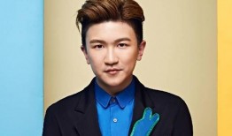 娱乐圈吃瓜男歌手名单,揭秘那些被隐藏的八卦故事