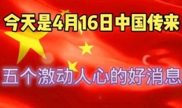 爆料新闻激动人心的时刻,激动人心的瞬间，真相大白！