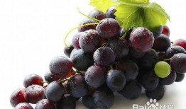 网红吃葡萄瓜是真的吗视频,真相揭秘，是噱头还是美味新宠？