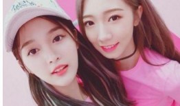 娱乐吃瓜酱笑点低的小说